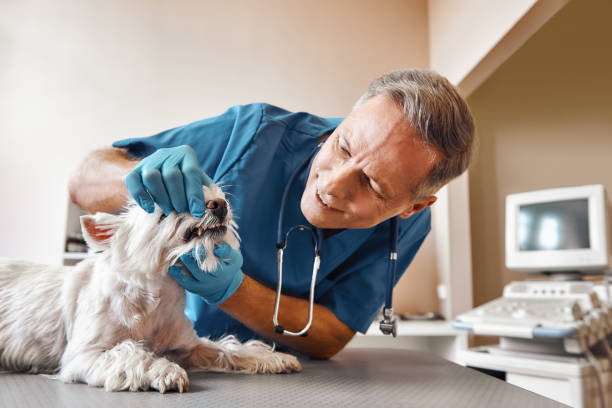 Best Emergency Wisdom Teeth Removal in Bainbridge, GA
